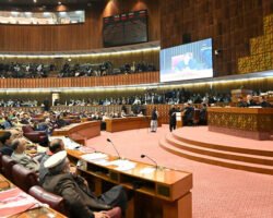 Revealed: Highlights of Pakistan’s Digital Nation Bill 2024